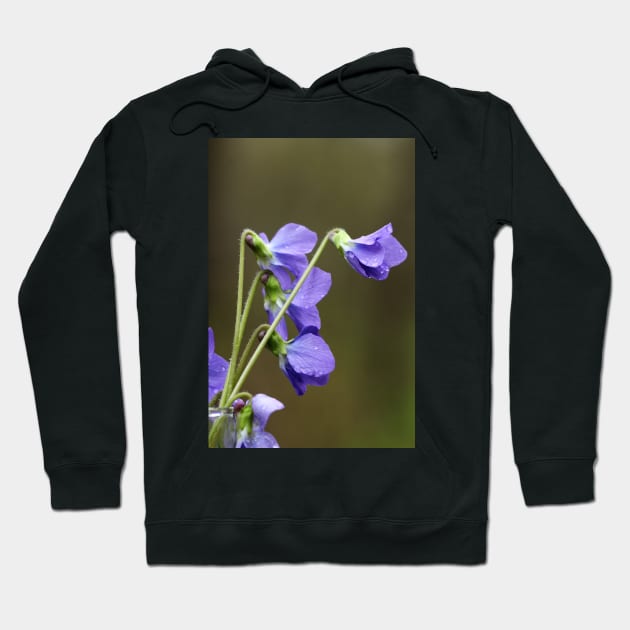 Blue flowers Hoodie by ikshvaku